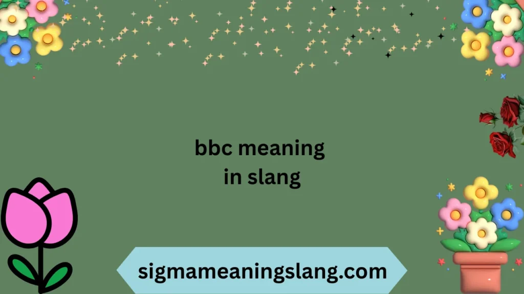 bbc meaning in slang