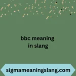 bbc meaning in slang