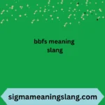 bbfs meaning slang