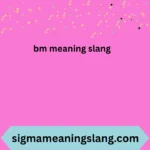 bm meaning slang