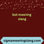 bot meaning slang