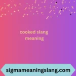 cooked slang meaning
