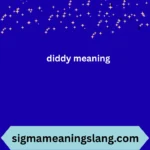 diddy meaning