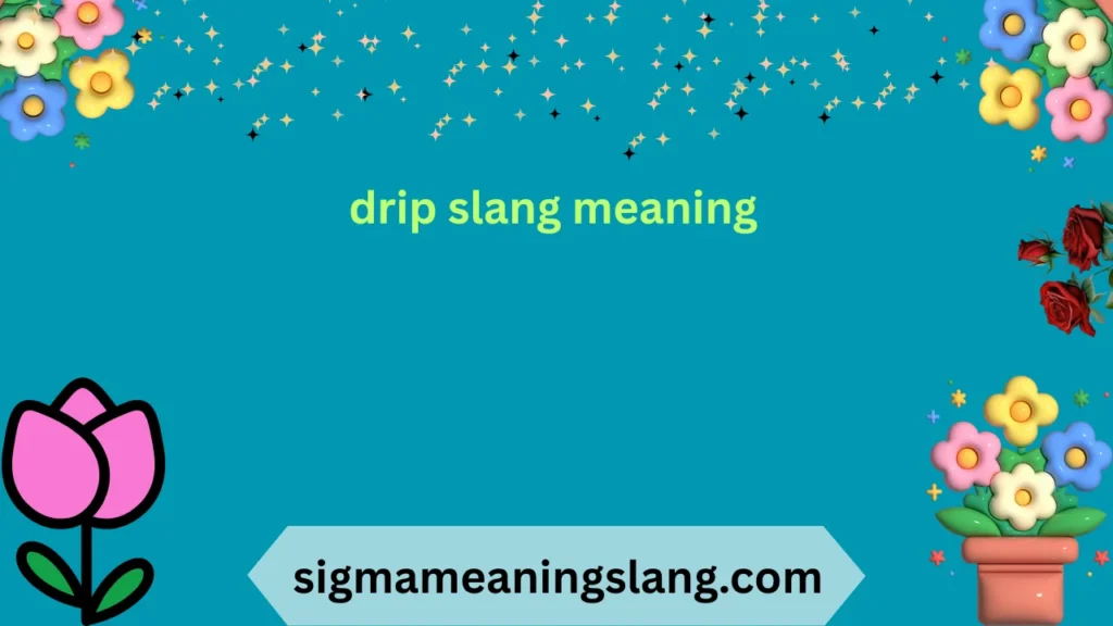 drip slang meaning