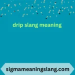 drip slang meaning