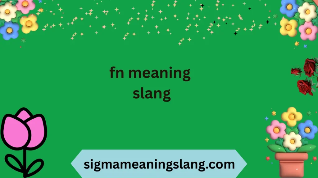 fn meaning slang