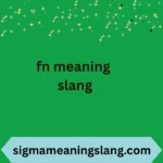 fn meaning slang