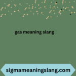 gas meaning slang