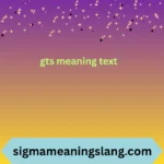 gts meaning text