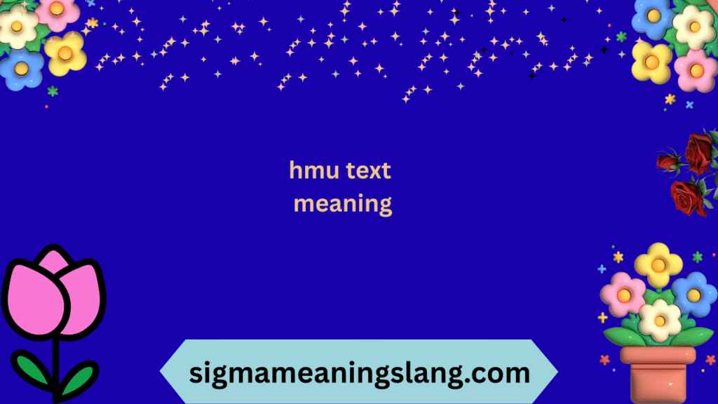hmu text meaning