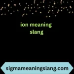ion meaning slang