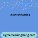 lms meaning slang