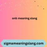 onb meaning slang