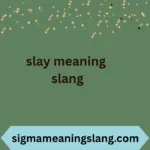 slay meaning slang