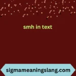 smh in text