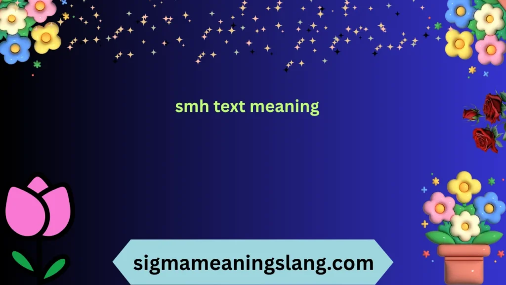 smh text meaning