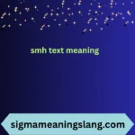 smh text meaning