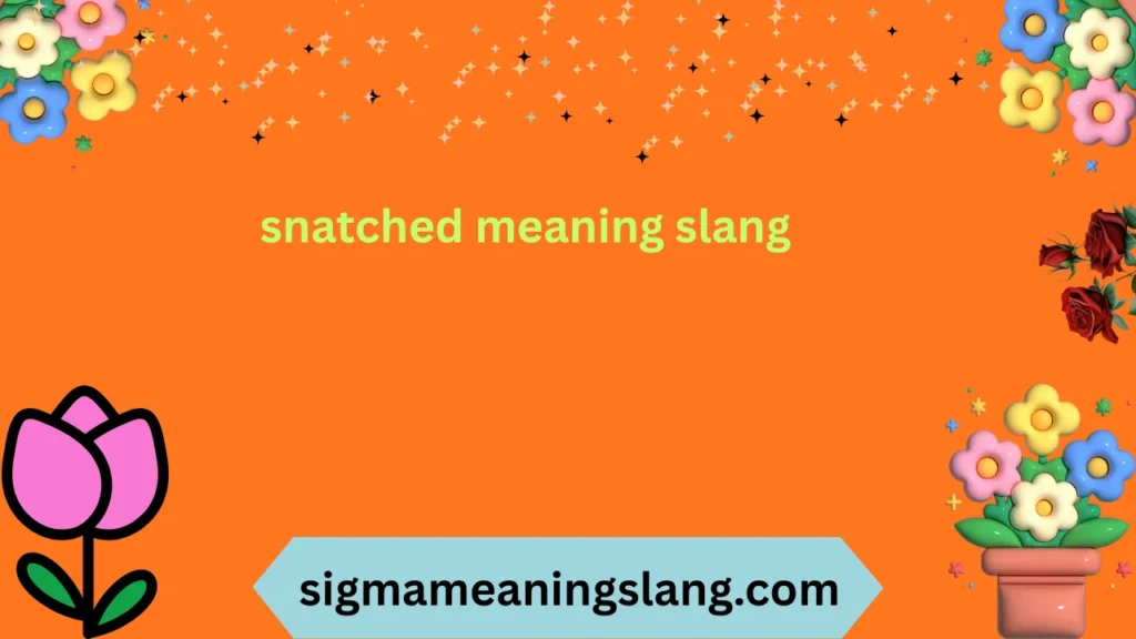 snatched meaning slang