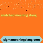 snatched meaning slang