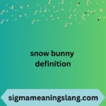 snow bunny definition