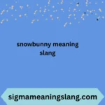 snowbunny meaning slang