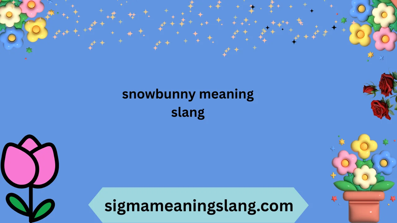 snowbunny meaning slang