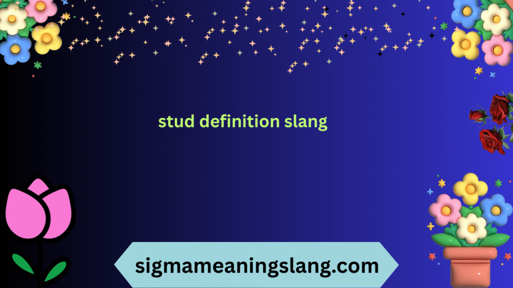 stud definition slang