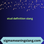 stud definition slang