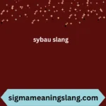 sybau slang
