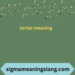 tortas meaning