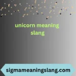 unicorn meaning slang