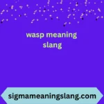 wasp meaning slang