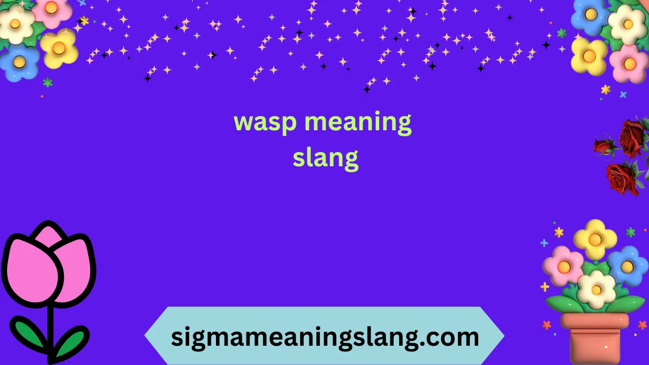 wasp meaning slang