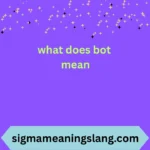 what does bot mean