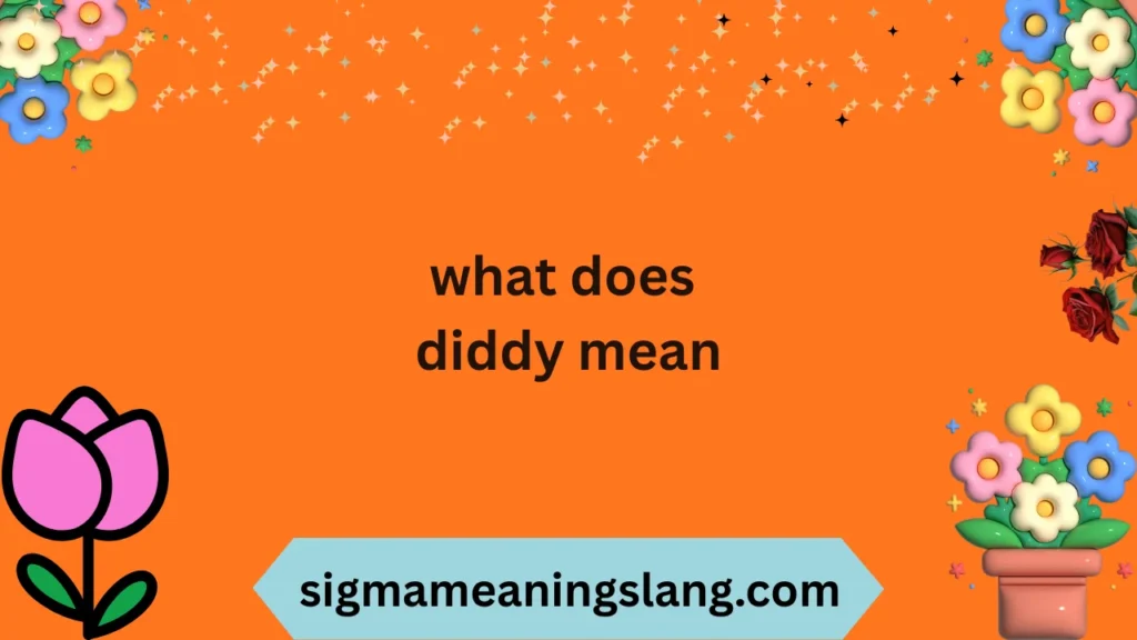 what does diddy mean