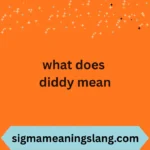 what does diddy mean