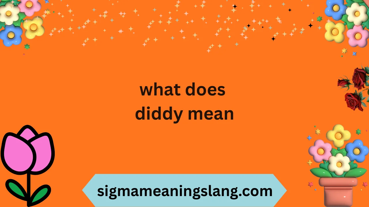what does diddy mean