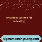 what does ig stand for in texting