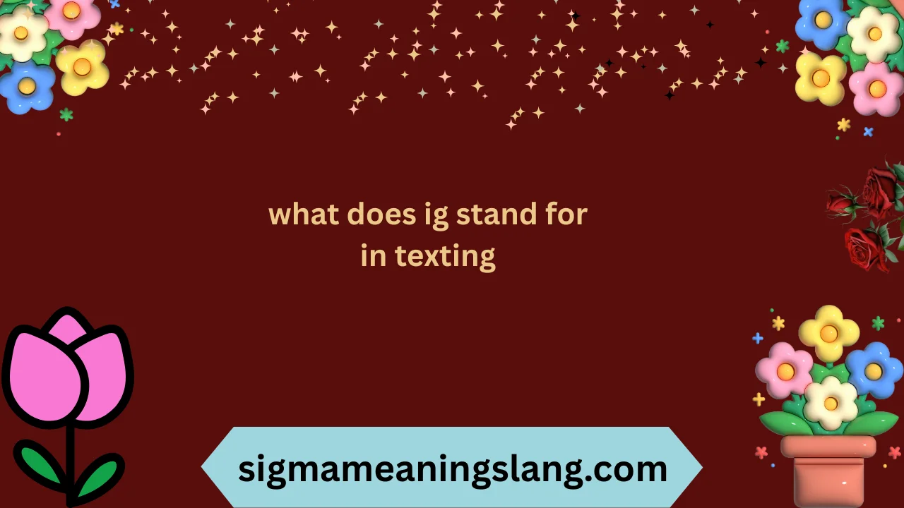 what does ig stand for in texting