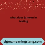 what does js mean in texting