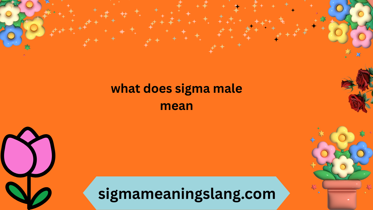 what does sigma male mean
