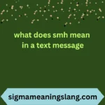 what does smh mean in a text message