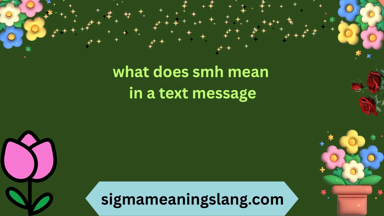 what does smh mean in a text message
