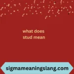 what does stud mean