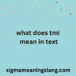 what does tmi mean in text