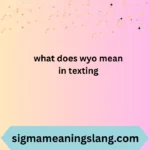 what does wyo mean in texting