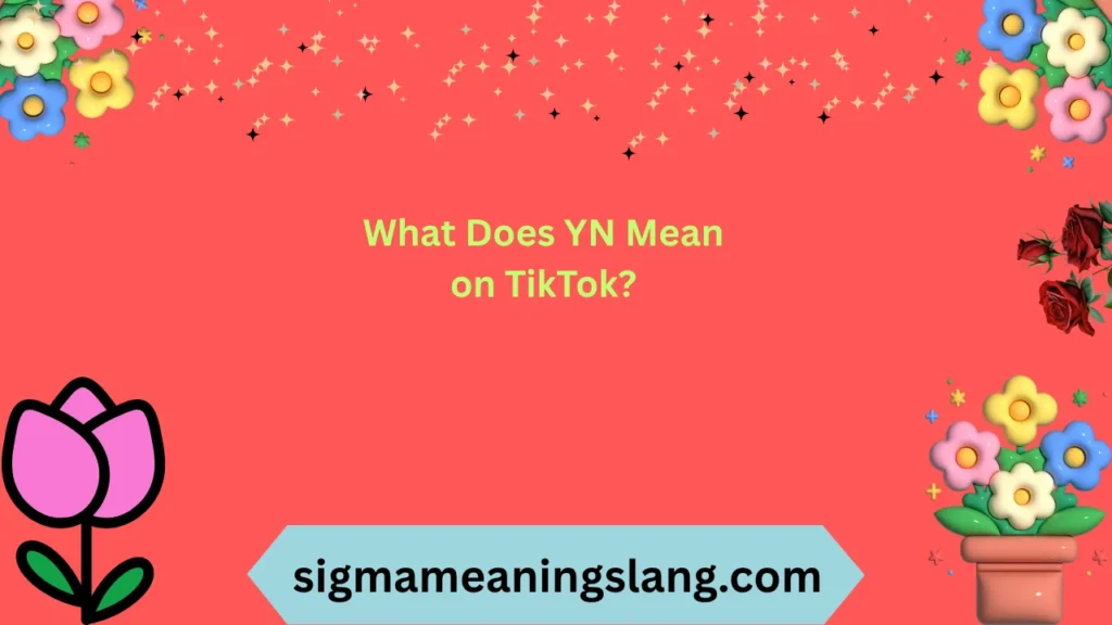 What Does YN Mean on TikTok?