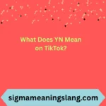 What Does YN Mean on TikTok?
