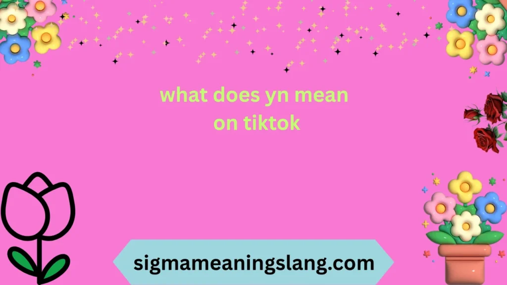 what does yn mean on tiktok