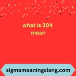 what is 304 mean
